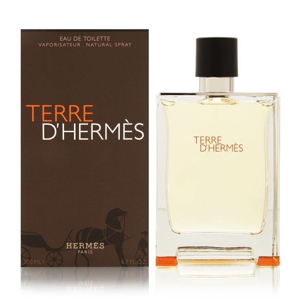 Hermes Terre D'Hermes Eau De Toilette 100ml for Him