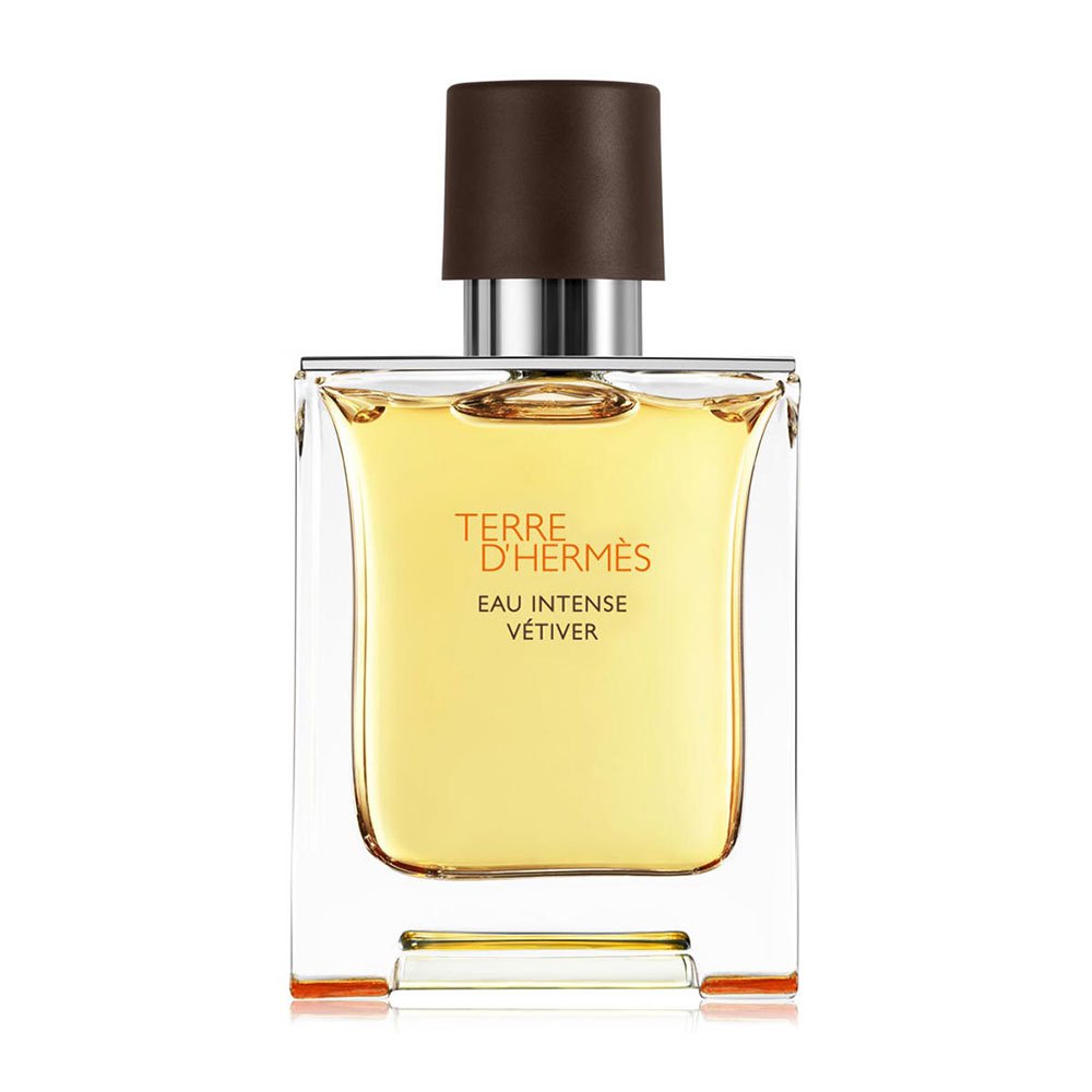 Hermes Terre D'Hermès Eau Intense Vétiver Eau De Parfum 100ml for Him